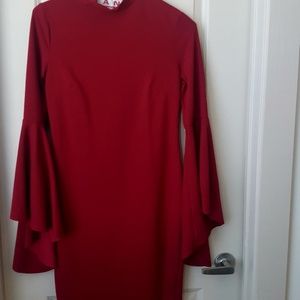 Lady's dress zipper up back (never worn)